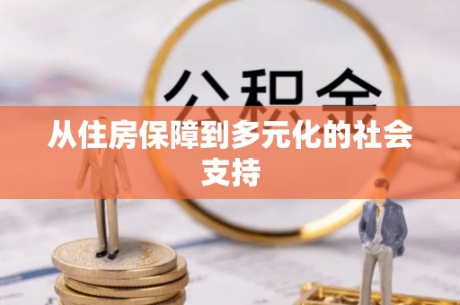 阜阳从住房保障到多元化的社会支持