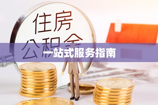 阜阳一站式服务指南