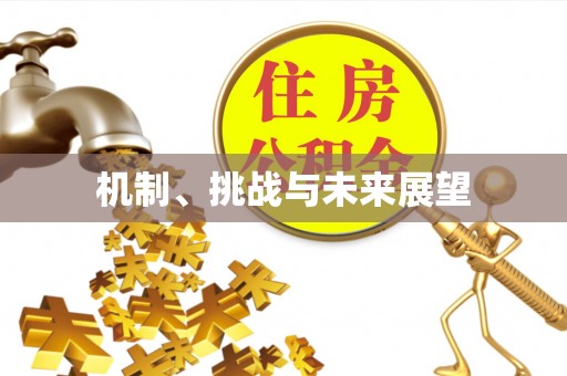 阜阳机制、挑战与未来展望
