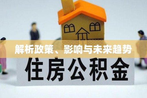 阜阳解析政策、影响与未来趋势