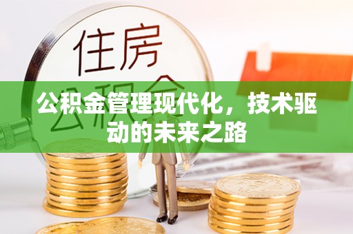 阜阳公积金管理现代化，技术驱动的未来之路
